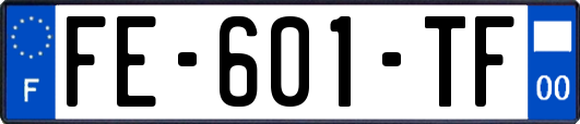 FE-601-TF