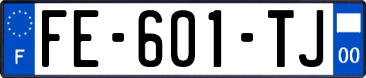 FE-601-TJ