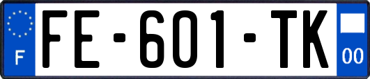 FE-601-TK
