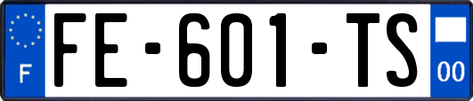 FE-601-TS