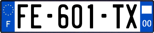 FE-601-TX