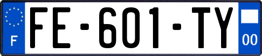 FE-601-TY