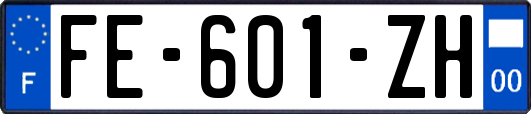 FE-601-ZH