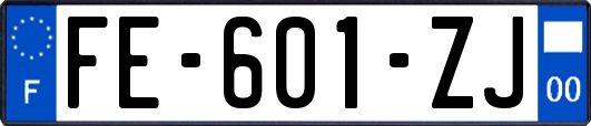 FE-601-ZJ