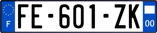 FE-601-ZK