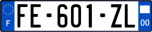 FE-601-ZL