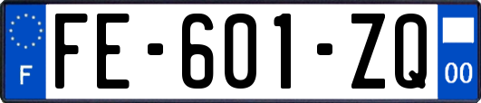 FE-601-ZQ