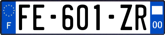 FE-601-ZR