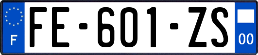 FE-601-ZS