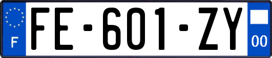 FE-601-ZY