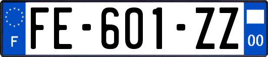 FE-601-ZZ