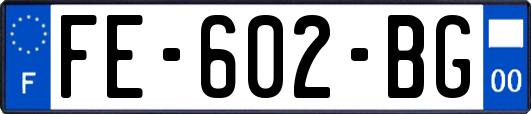 FE-602-BG