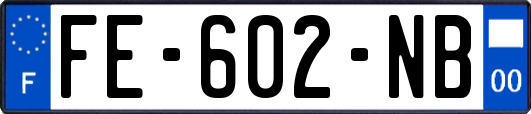 FE-602-NB
