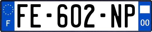 FE-602-NP