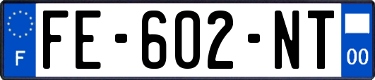FE-602-NT