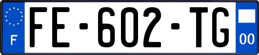FE-602-TG