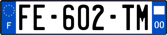 FE-602-TM