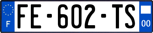 FE-602-TS