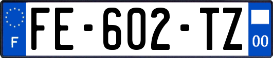 FE-602-TZ