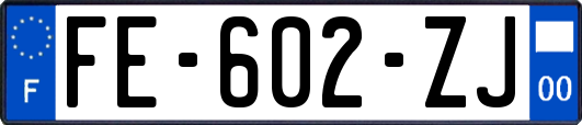 FE-602-ZJ