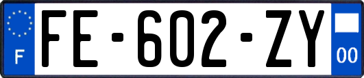 FE-602-ZY