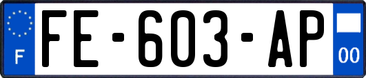 FE-603-AP