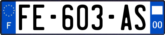FE-603-AS