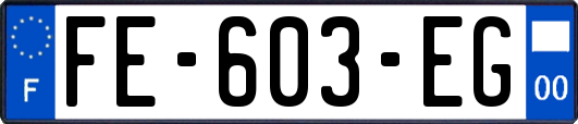 FE-603-EG