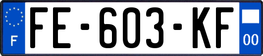 FE-603-KF