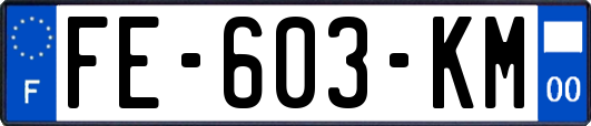 FE-603-KM