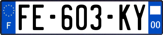 FE-603-KY