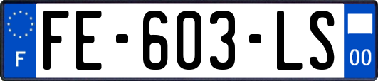 FE-603-LS