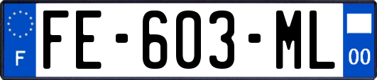 FE-603-ML
