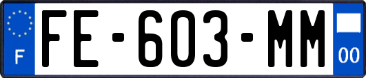 FE-603-MM