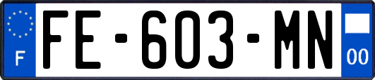 FE-603-MN