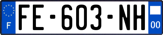 FE-603-NH