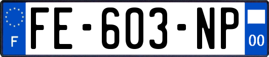 FE-603-NP