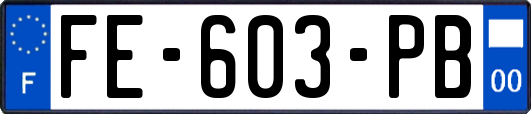 FE-603-PB