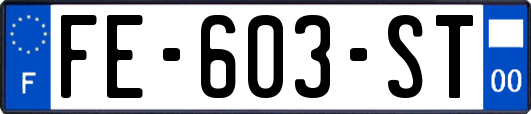 FE-603-ST