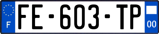 FE-603-TP