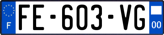 FE-603-VG