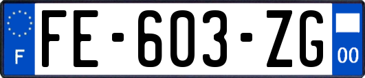 FE-603-ZG