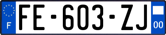 FE-603-ZJ