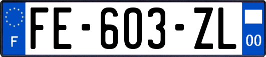 FE-603-ZL