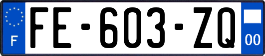 FE-603-ZQ