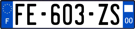 FE-603-ZS