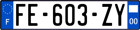 FE-603-ZY