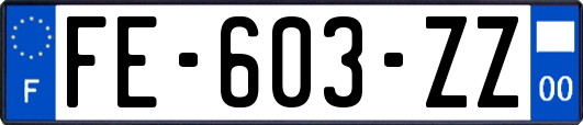 FE-603-ZZ