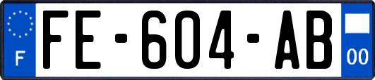 FE-604-AB