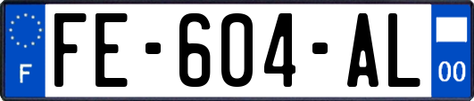 FE-604-AL